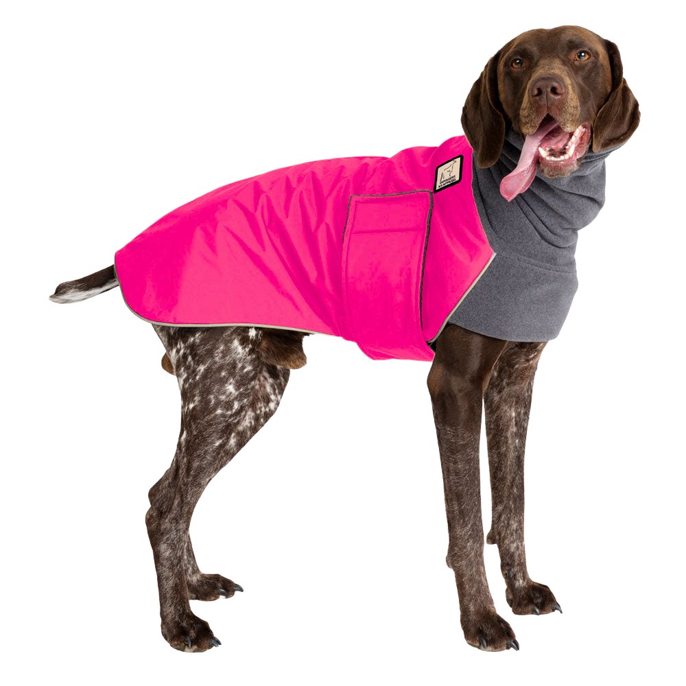 German Shorthaired Pointer Winter Coat