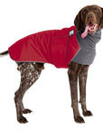 German Shorthaired Pointer Winter Coat