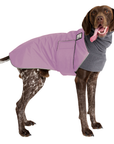 German Shorthaired Pointer Winter Coat