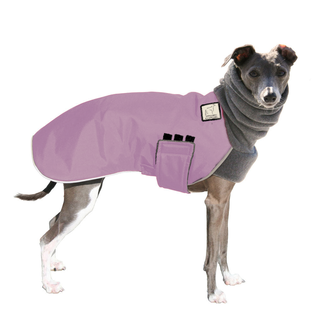 Italian Greyhound Winter Coat