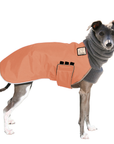 Italian Greyhound Winter Coat
