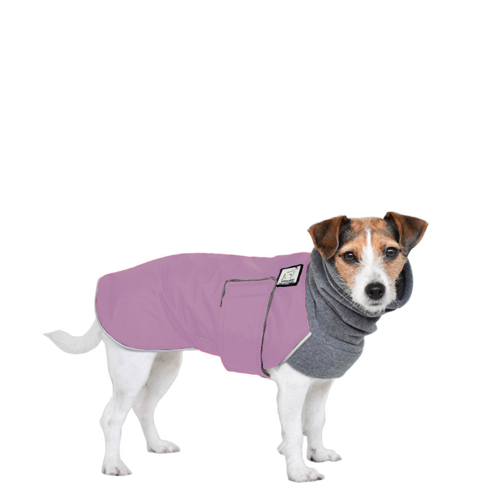 Jack Russell Terrier Winter Coat