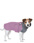 Jack Russell Terrier Winter Coat