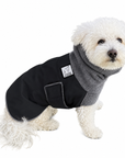Miniature Poodle Winter Coat