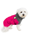 Miniature Poodle Winter Coat