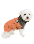 Miniature Poodle Winter Coat