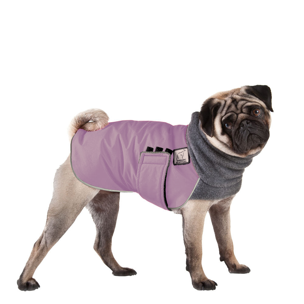 Pug Winter Coat