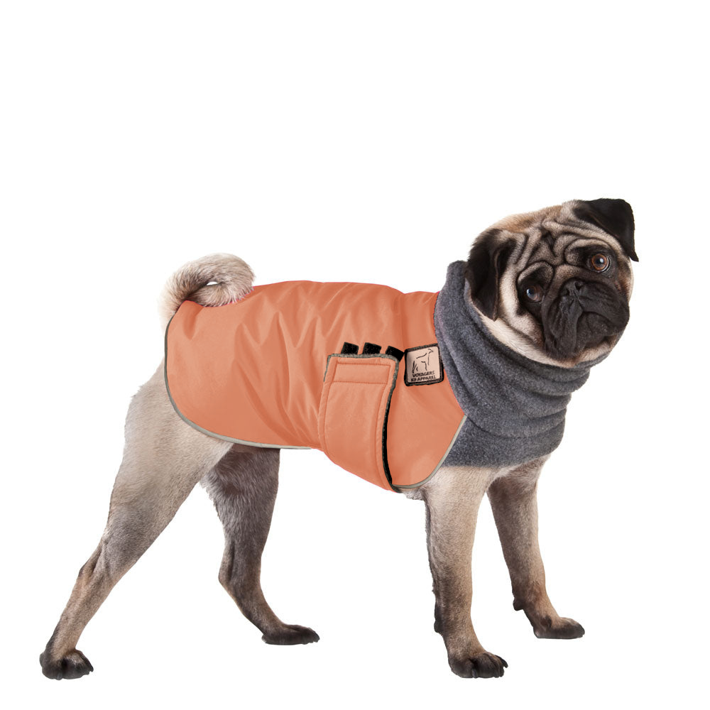 Pug Winter Coat