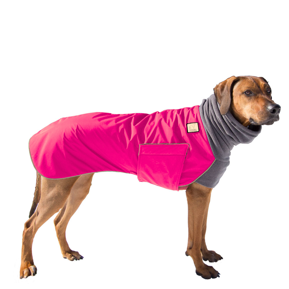 Rhodesian Ridgeback Winter Coat