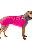 Rhodesian Ridgeback Winter Coat