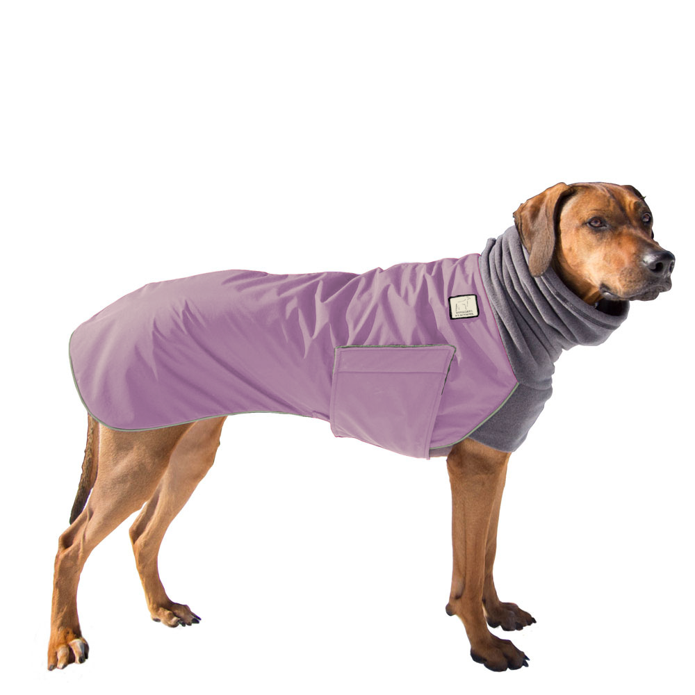 Rhodesian Ridgeback Winter Coat