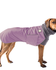 Rhodesian Ridgeback Winter Coat