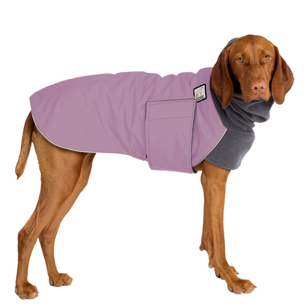 Vizsla Winter Coat