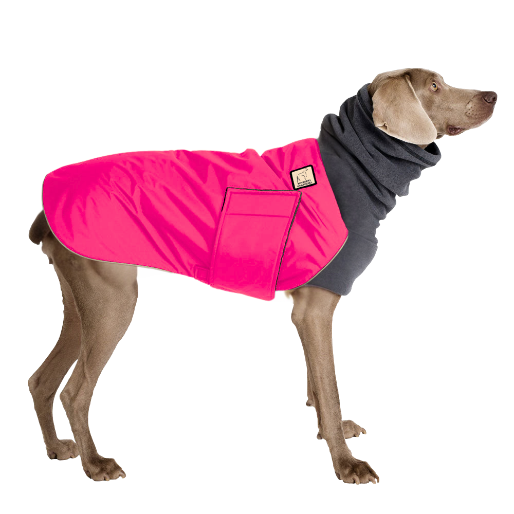 Weimaraner Winter Coat