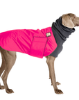 Weimaraner Winter Coat