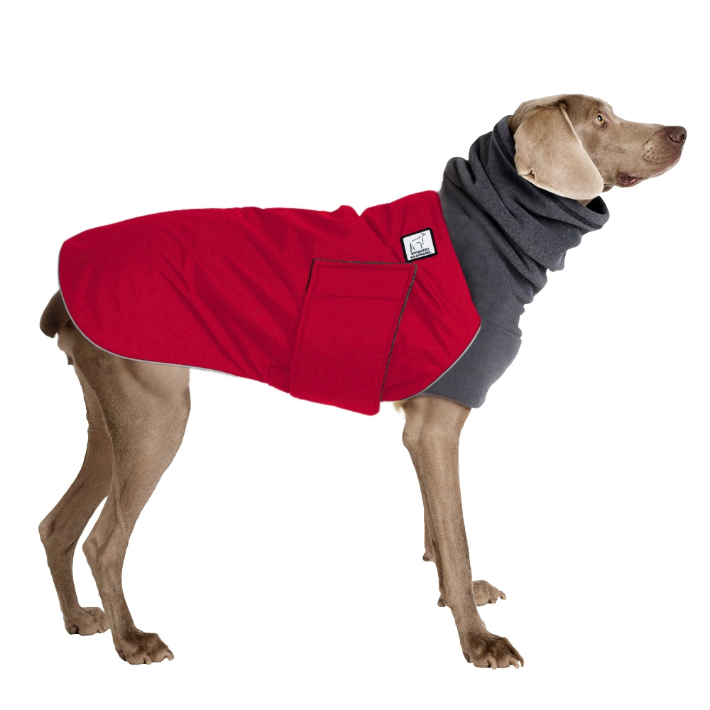 Weimaraner Winter Coat