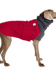 Weimaraner Winter Coat
