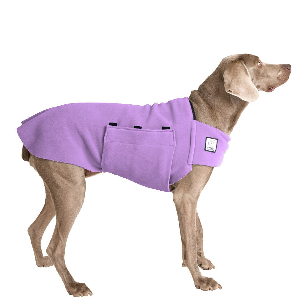 Weimaraner Tummy Warmer