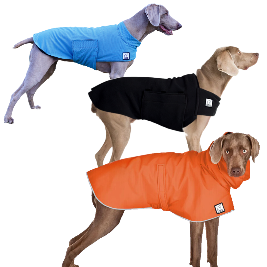 Weimaraner Nomad Bundle