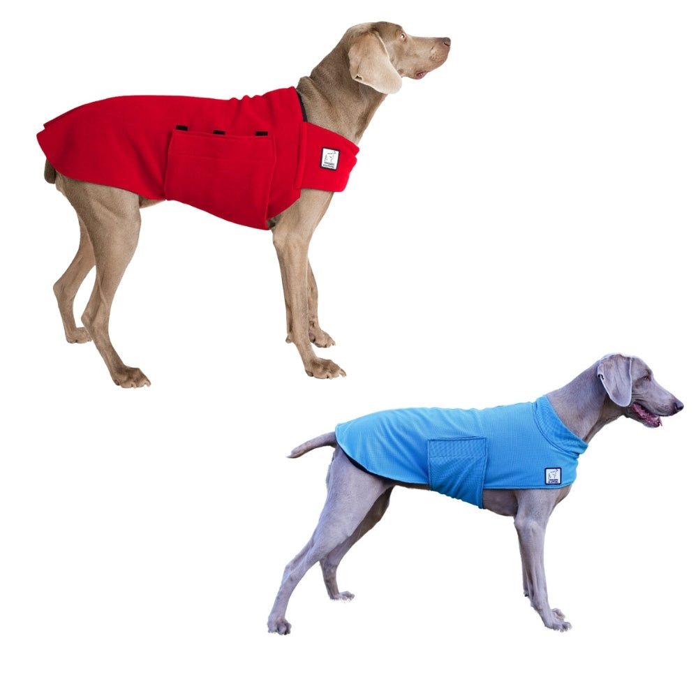 Weimaraner Hiker Bundle