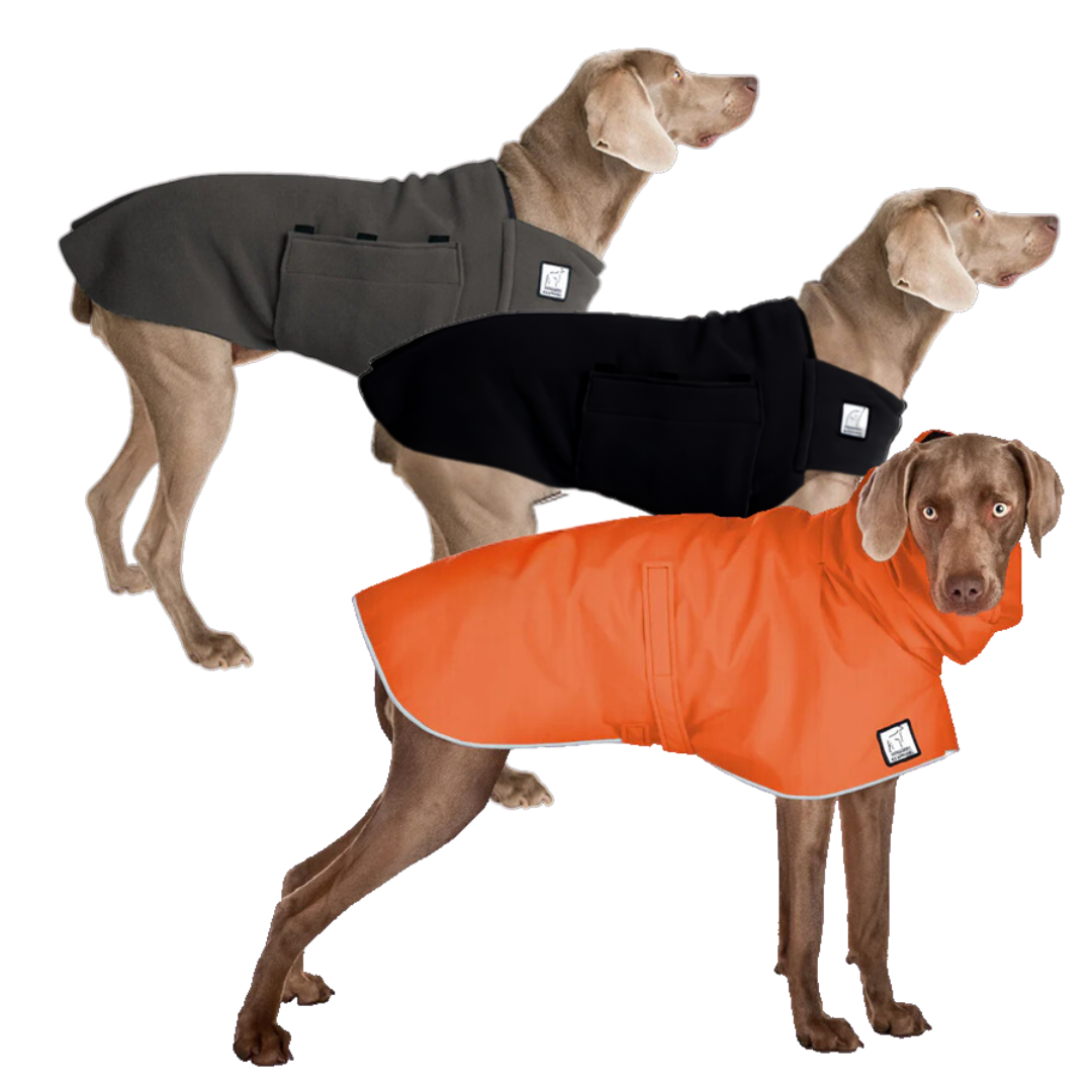 Weimaraner Wanderer Bundle