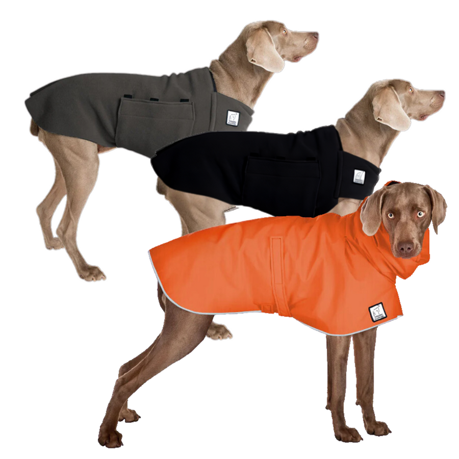 Weimaraner Fall Essentials Bundle