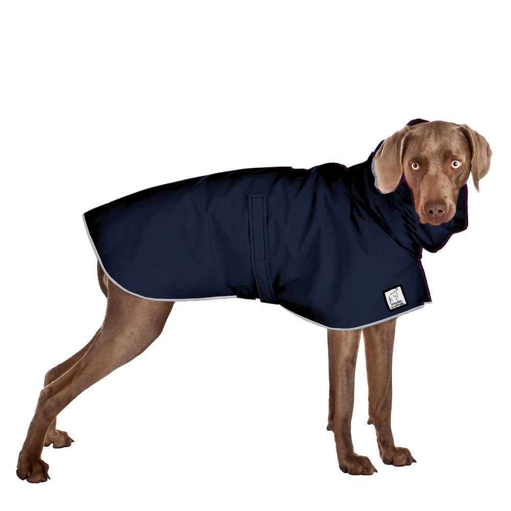 Weimaraner Raincoat