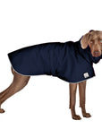 Weimaraner Raincoat