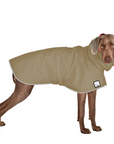 Weimaraner Raincoat