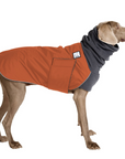 Weimaraner Winter Coat