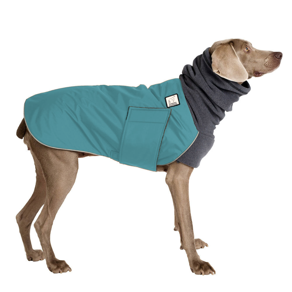 Weimaraner Winter Coat