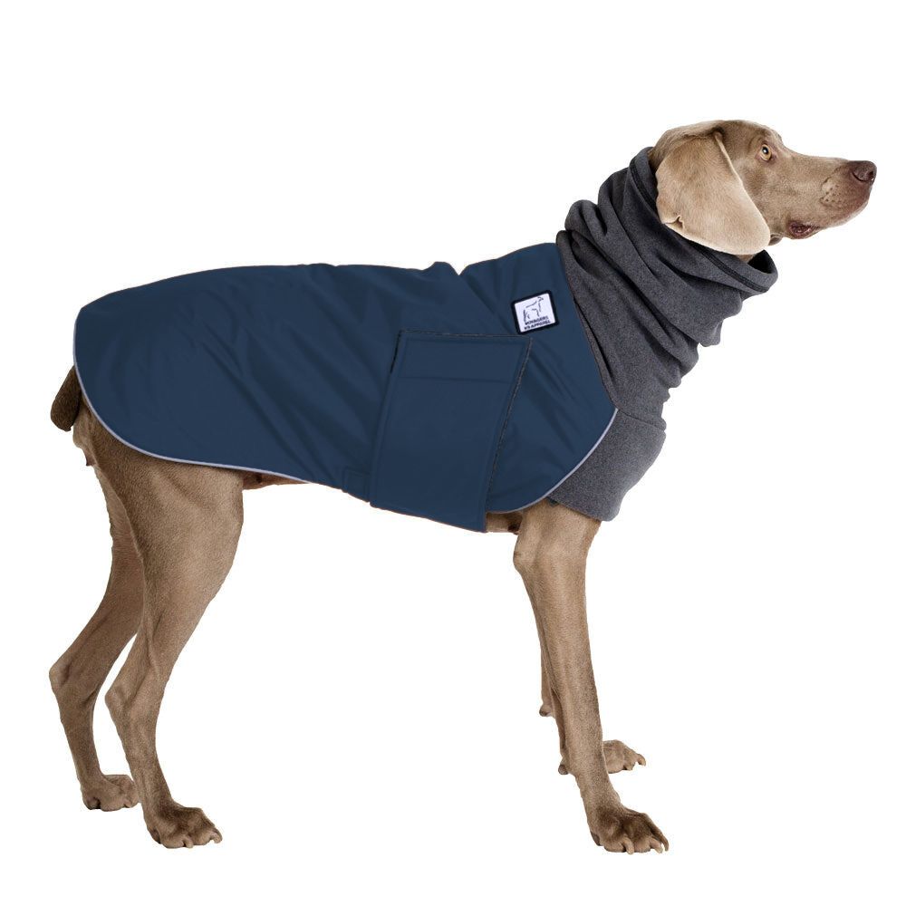 Weimaraner Winter Coat