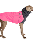 Weimaraner Winter Coat