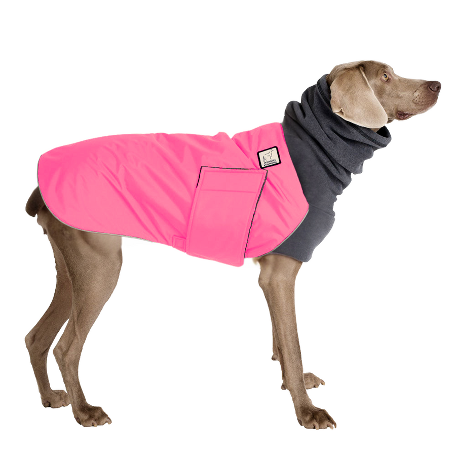 Weimaraner Winter Coat