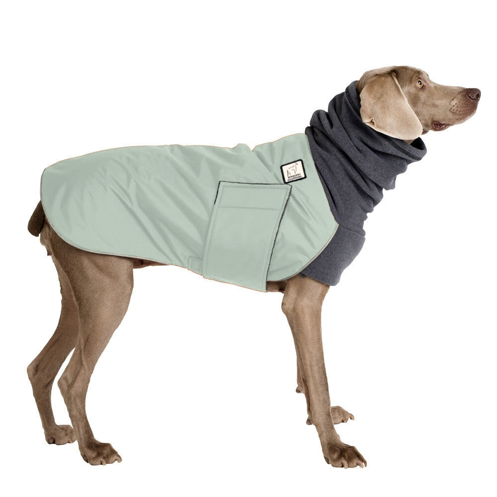 Weimaraner Winter Coat