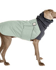 Weimaraner Winter Coat