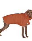 Weimaraner Raincoat