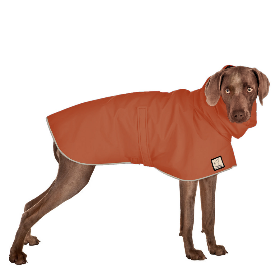 Weimaraner Raincoat