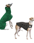 Whippet Camper Bundle