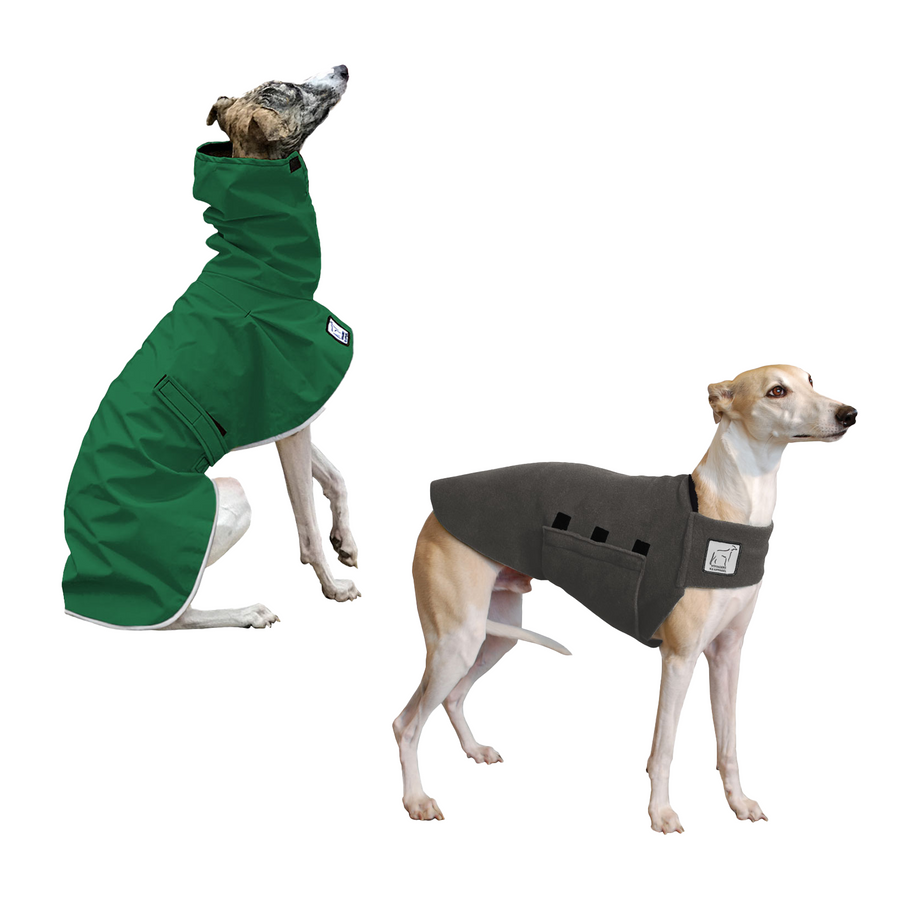 Whippet Camper Bundle