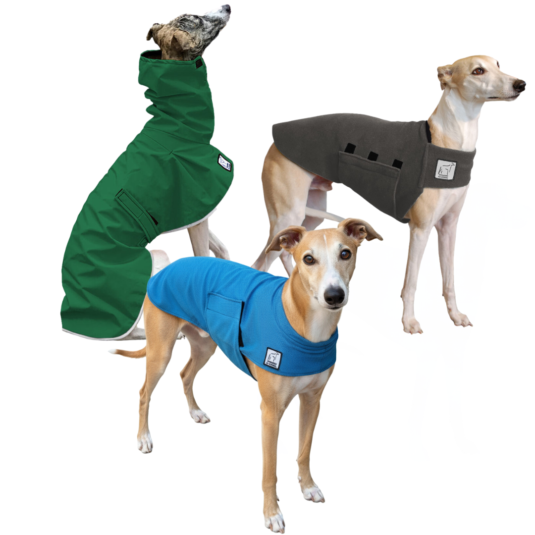Whippet Nomad Bundle