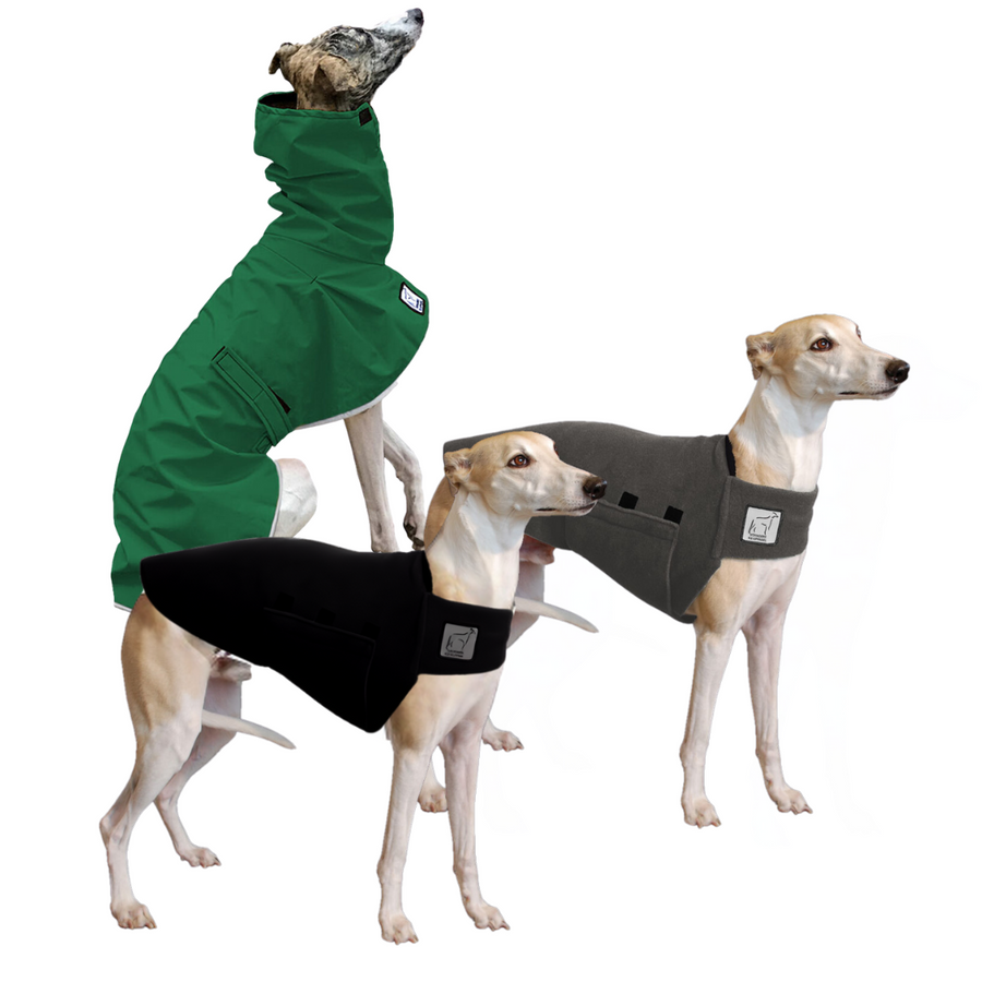 Whippet Wanderer Bundle