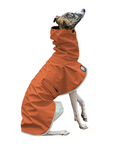 Whippet Raincoat