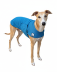 Voyager K9 Apparel Whippet Cooling Coat
