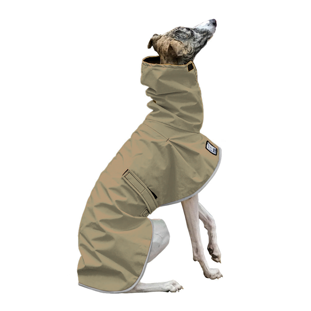 Whippet Raincoat