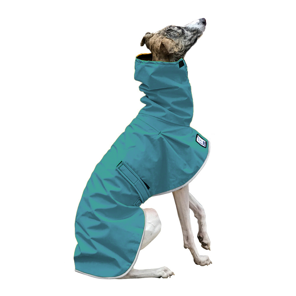 Whippet Raincoat