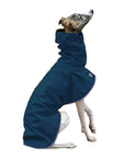 Whippet Raincoat