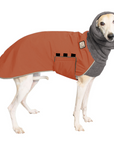 Whippet Winter Coat