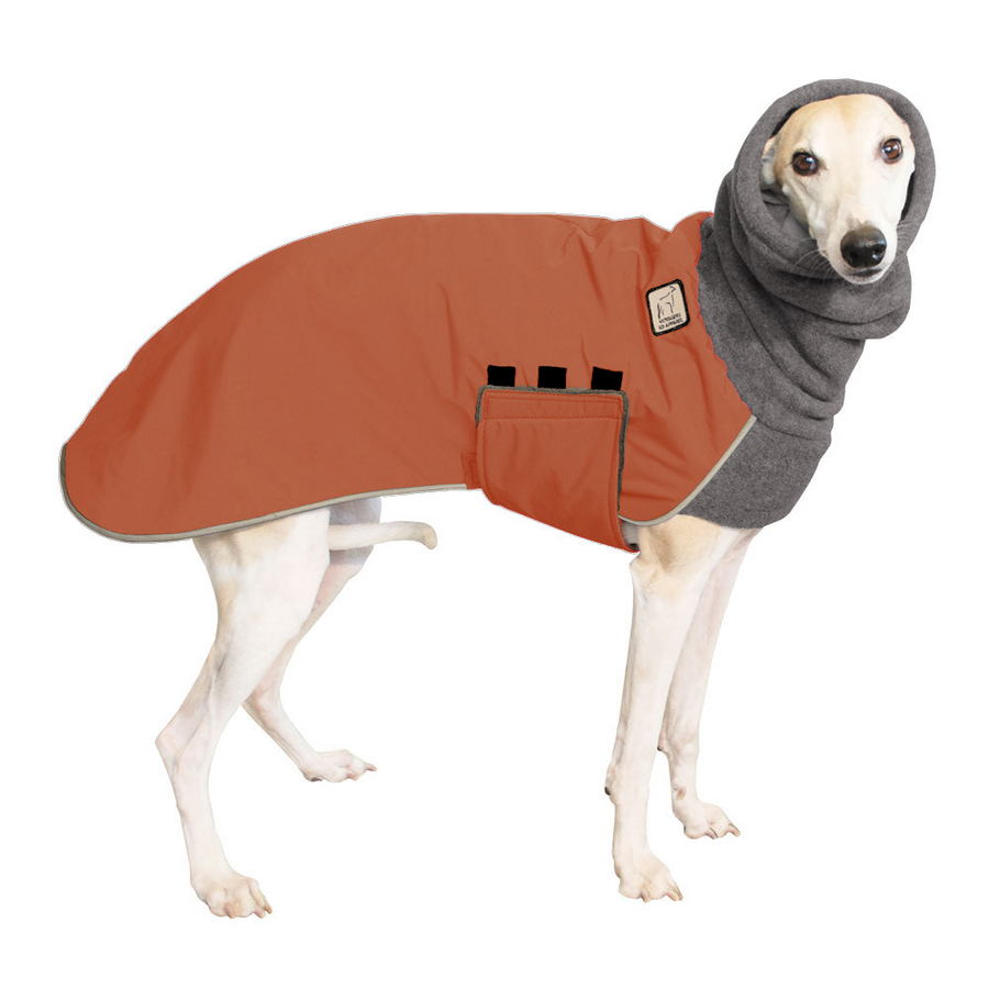 Dog winter coat hotsell