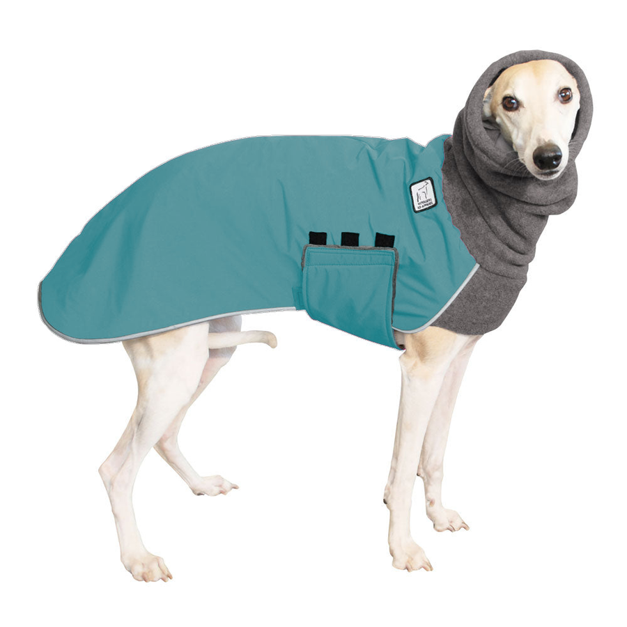 Whippet Winter Coat